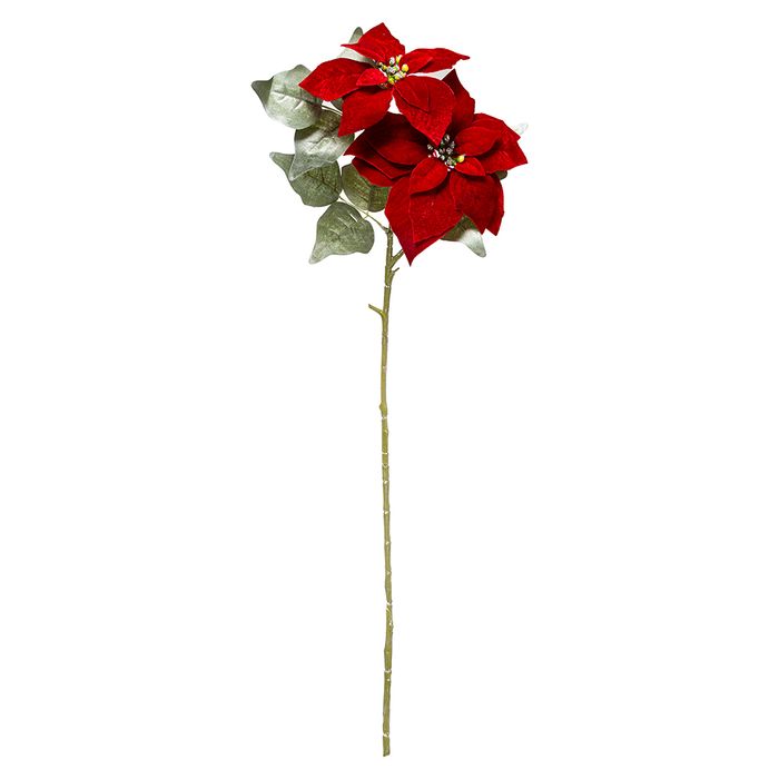 -Rama-Poinsettia-roja-75-cm