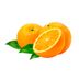Frutal-naranja-new-hall