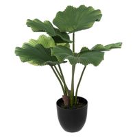 Planta-artificial-Licuala-h65-cm