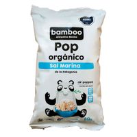 Pop-BAMBOO-organicos-sal-marina-60g