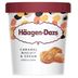 Helado-HAAGEN-DAZS-biscuit---crema-vaso-473-ml