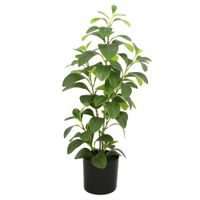 Planta-artificial-63cm-verde