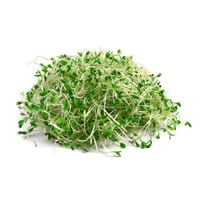 Brotes-de-alfalfa-100-g