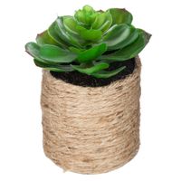 Planta-artificial-en-maceta-h16-cm