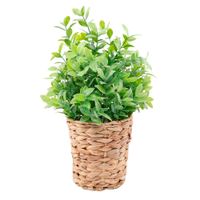 Planta-Artificial-en-Cesta-24x24x40-cm-cs-6600