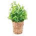 Planta-Artificial-en-Cesta-24x24x40-cm-cs-6600