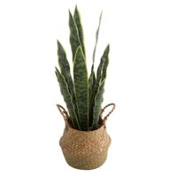 Planta-Artificial-en-Cesta-25x25x70-cm-cs-4957