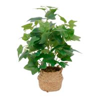 Planta-Artificial-en-Cesta-28x28x43-cm-cs-6021