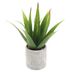Planta-artificial-con-maceta-d10x30-cm