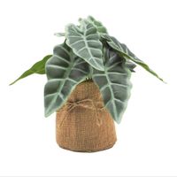 Planta-Artificial-con-Maceta-lrh-0973d-8x16-cm