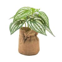 Planta-Artificial-con-Maceta-lrh-0974d-8x16-cm