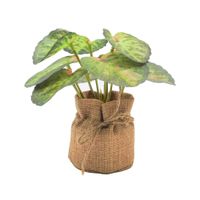 Planta-Artificial-con-Maceta-lrh-0975d-8x16-cm