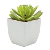 Planta-Artificial-Suculenta-con-Maceta-rh-1329-7x7x10-cm