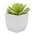 Planta-Artificial-Suculenta-con-Maceta-rh-1329-7x7x10-cm