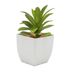 Planta-Artificial-Suculenta-con-Maceta-rh-1328-7x7x13-cm