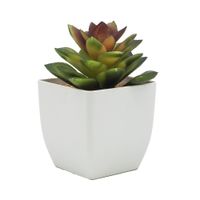 Planta-Artificial-Suculenta-con-Maceta-rh-1330-7x7x12-cm