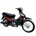 Moto-KIOTO-PL-110