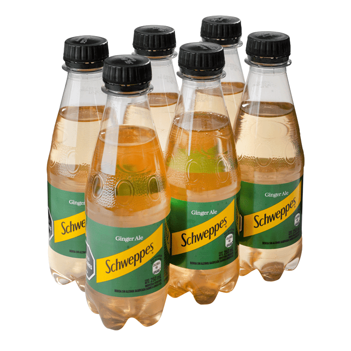Refresco-SCHWEPPES-Ginger-Ale-250-ml