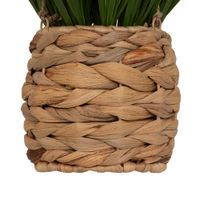 Planta-artificial-colgante-h-24-cm-206552