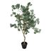 Planta-artificial-eucalipto-h-127-cm-204276