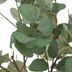 Planta-artificial-eucalipto-h-127-cm-204276