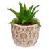 Planta-artificial-con-maceta-d-55-cm-168596