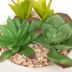 Suculenta-artificial-con-maceta-h-10-cm-145026