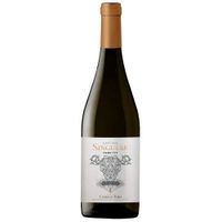 Vino-Tinto-Pinot-Noir-SINGULAR-Clon-777-bt.-750-ml