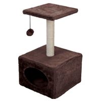 Gimnasio-para-Gato-2-ass