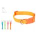 Collar-para-Perro-Varios-Colores