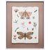 Lamina-con-Marco-40x50-cm-xcw-248998-f-mariposas