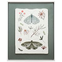 Lamina-con-Marco-40x50-cm-xcw-248999-f-mariposas