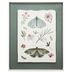 Lamina-con-Marco-40x50-cm-xcw-248999-f-mariposas