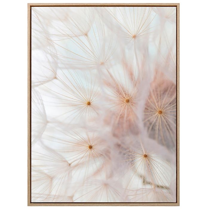 Lamina-con-Marco-45x60-cm-xcc-240965-Flor-macro