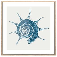 Lamina-con-Marco-40x40-cm-xcc-245751-s-caracol-de-MAR