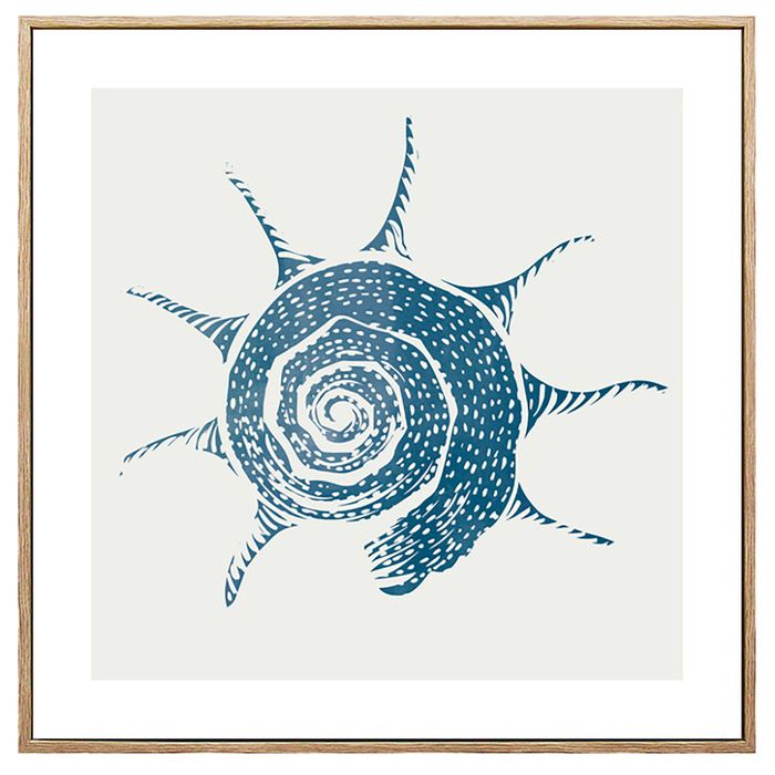 Lamina-con-Marco-40x40-cm-xcc-245751-s-caracol-de-MAR