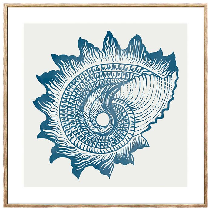 Lamina-con-Marco-40x40-cm-xcc-245752-s-caracol-de-MAR