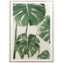 Lamina-con-Marco-50x70-cm-xcc-247290-T-hojas