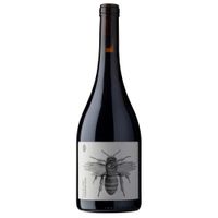 Vino-Tinto-CASTEL-PUJOL-Folklore-Manseng-Noir-750-ml
