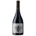 Vino-Tinto-CASTEL-PUJOL-Folklore-Manseng-Noir-750-ml