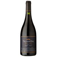 Vino-tinto-Malbec-Syrah-TRUMPETER-750-ml