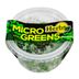 Microgreen-herbs-1