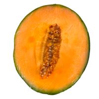 Melon-escrito-importado-envasado