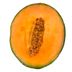 Melon-escrito-importado-envasado