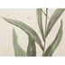 Lamina-con-marco-40-x-50-cm-wg-230081-bfb-FLORES