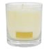Vela-de-Soja-HOME-240-g-N°-8-Green-Tea-7008