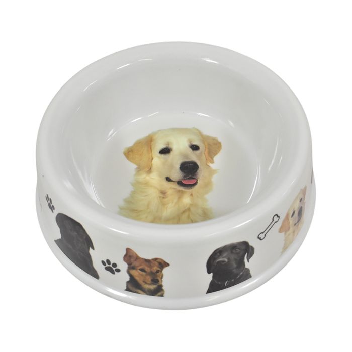 Plato-para-Mascota-Melamina-25-cm-Diametro