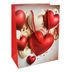 Bolsa-de-Regalo-Estampada-18x23x10-cm