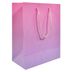Bolsa-de-Regalo-Lisa-18x23x10-cm