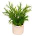 Planta-artificial-en-maceta-25-cm